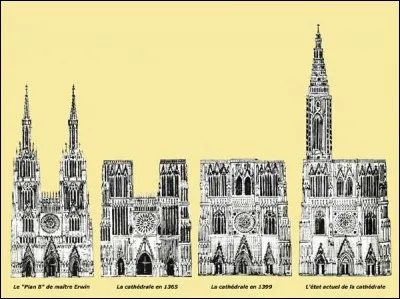 La cathédrale de Strasbourg a été construite au-dessus d'une nappe phréatique à l'aide de pieux en bois.