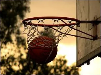 Existe-t-il une ligue américaine de basket connue mondialement ?