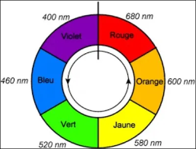 Combien de types d'ondes existe-t-il ?