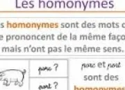 Quiz Homonymes en folie