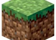 Quiz Minecraft pour les pros